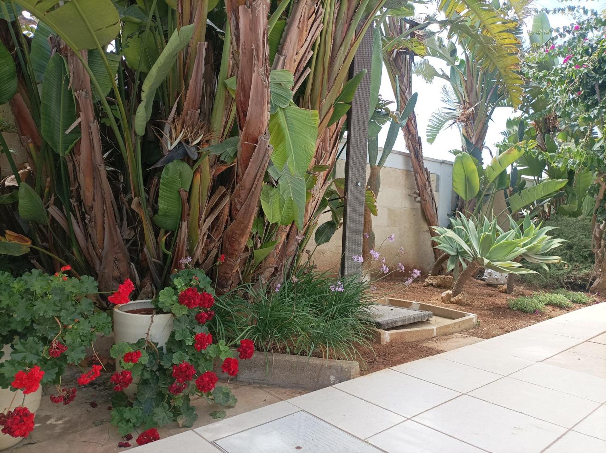 La Giara Resort Torre San Giovanni Ugento Zewnętrze zdjęcie